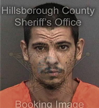 Felipe Fonseca-Garcia, - Hillsborough County, FL 