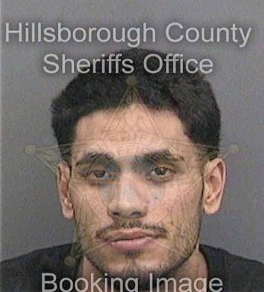 Arthur Hembree, - Hillsborough County, FL 