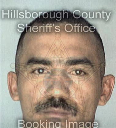 Michael Longoria, - Hillsborough County, FL 