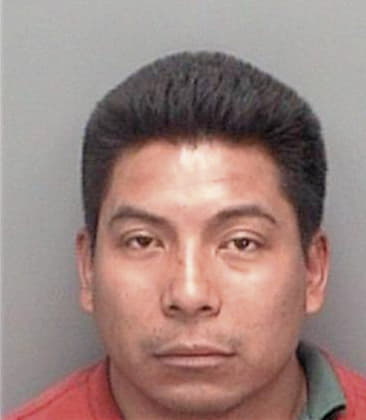 Raul Perezperez, - Pinellas County, FL 