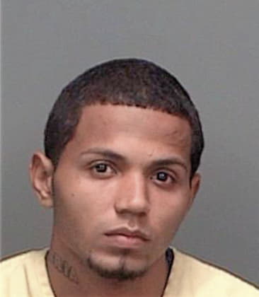 Alfonso Gonzalezmacotela, - Pinellas County, FL 