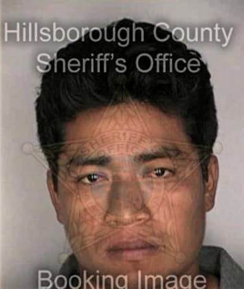 Reynaldo Hernandezflores - Hillsborough County, FL 