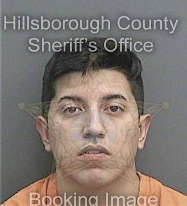 Lucio Ovandodelacruz, - Hillsborough County, FL 