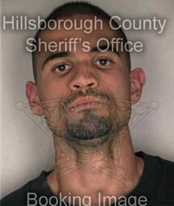 Ezequiel Rodriguezurraya, - Hillsborough County, FL 