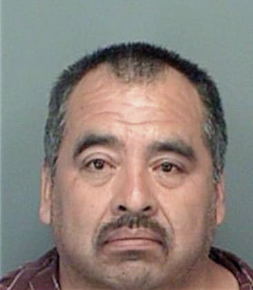 Mario Trujillo, - Pinellas County, FL 