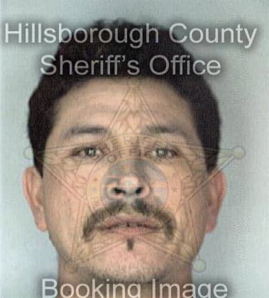 Francis Valdez, - Hillsborough County, FL 