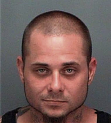 Ronald Aleixo, - Pinellas County, FL 