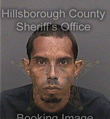 Isauro Bautistavilchis, - Hillsborough County, FL 