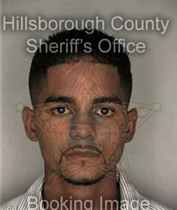 Paulo Hernandez - Hillsborough County, FL 