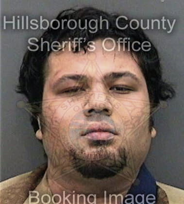 Reza Khan, - Hillsborough County, FL 