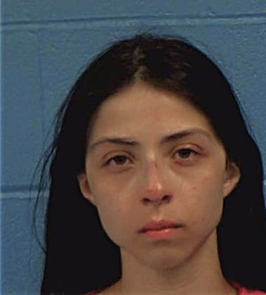 Jeamie Leiva-Aguilar - Williamson County, TX 