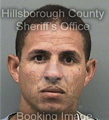 Collin Morrissey, - Hillsborough County, FL 