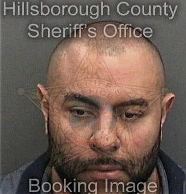 Kenneth Nimphius, - Hillsborough County, FL 