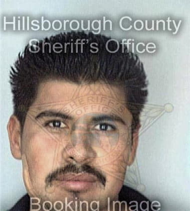 Mario Ramos, - Hillsborough County, FL 