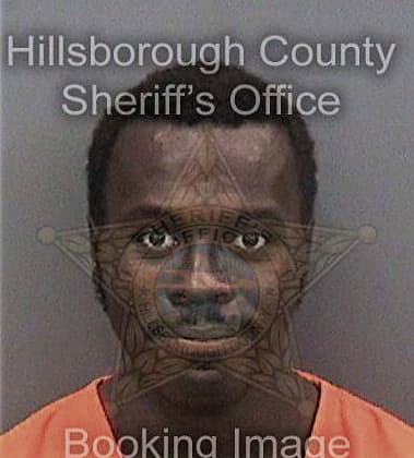 Denzel Ricks, - Hillsborough County, FL 