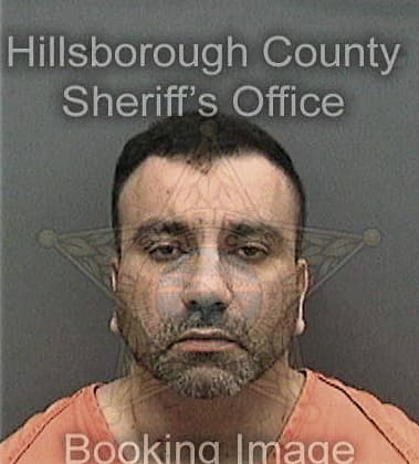 Reinaldo Seijo, - Hillsborough County, FL 