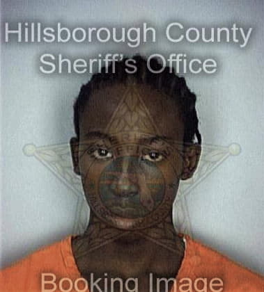 Elijah Woodard, - Hillsborough County, FL 