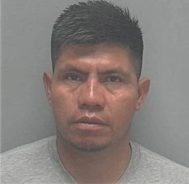 Edmilson Alves-Lucio, - Lee County, FL 