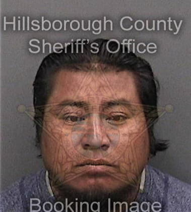 Noel Cartegnacaraballo, - Hillsborough County, FL 