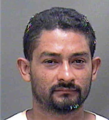 Manuel Luna, - Mecklenburg County, NC 