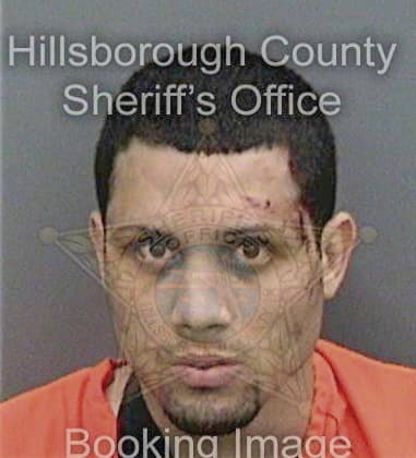 Trevor McKim - Hillsborough County, FL 