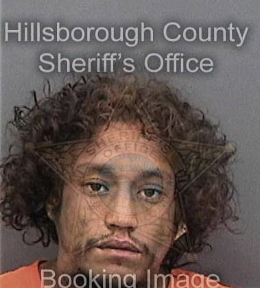 Fabian Agudelolopez, - Hillsborough County, FL 