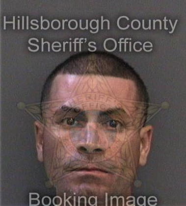 Vicente Brown-Torres, - Hillsborough County, FL 