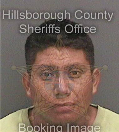 Anthony Dibenardo, - Hillsborough County, FL 