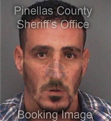 Allanzo Phillip, - Pinellas County, FL 