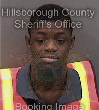 Dontario Stephens, - Hillsborough County, FL 