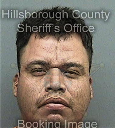 Alan Acereto, - Hillsborough County, FL 