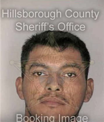 Nathanial Bragg - Hillsborough County, FL 