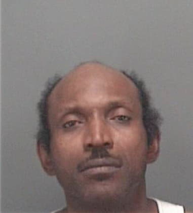 Pirsteen Allen, - Pinellas County, FL 