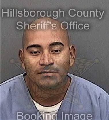 Axel Araujo, - Hillsborough County, FL 