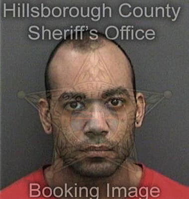 Stevie Bonds - Hillsborough County, FL 