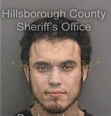 Dean Holloway, - Hillsborough County, FL 