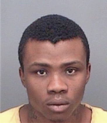 Johnny McAffee - Pinellas County, FL 