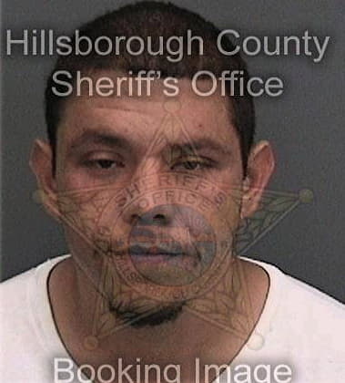 Bryan McClellan - Hillsborough County, FL 
