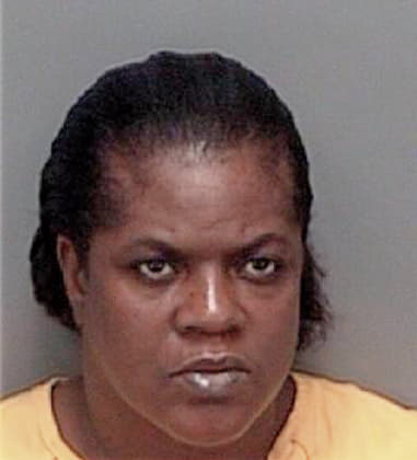 Regina McElroy - Pinellas County, FL 