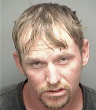 Brian Penniman, - Pinellas County, FL 