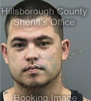 Jorge Rodriguezflores, - Hillsborough County, FL 