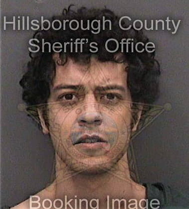 Erick Soto, - Hillsborough County, FL 