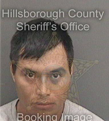 Wilfredo Valles, - Hillsborough County, FL 