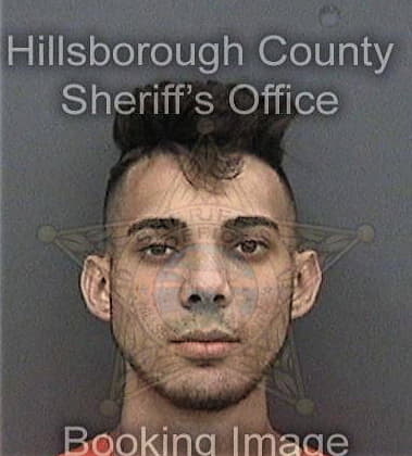 Omar Vences, - Hillsborough County, FL 