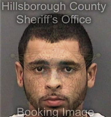 Carlos Alvareztrujillo, - Hillsborough County, FL 