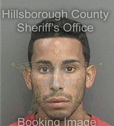 Neil Anderson, - Hillsborough County, FL 