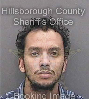 Kevin Andrews, - Hillsborough County, FL 