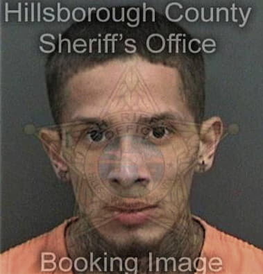 Daniel Fraley, - Hillsborough County, FL 