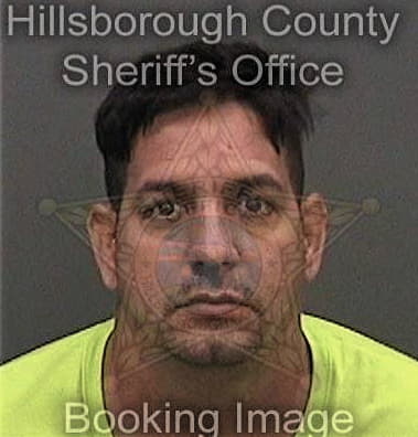 Tomas Garcia, - Hillsborough County, FL 