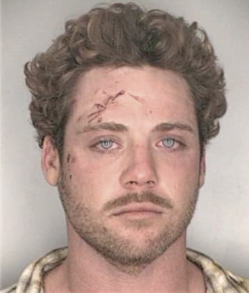 Daniel Herrera - Hillsborough County, FL 